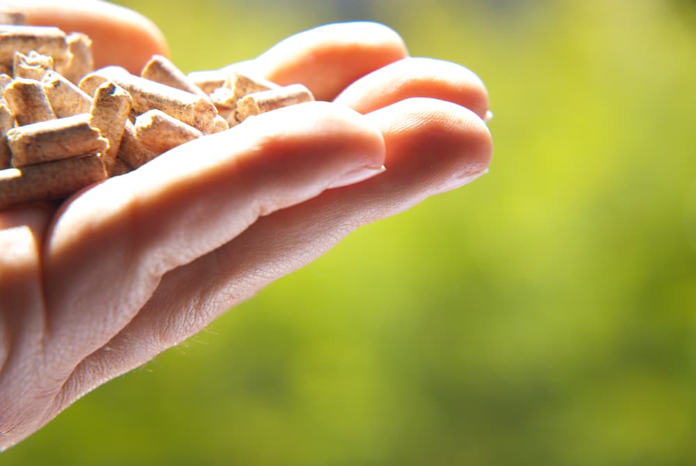 Ekologická alternatíva